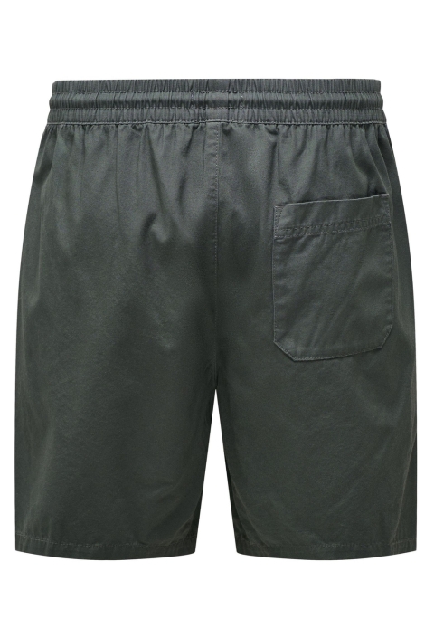 Only & Sons onstel life 0119 shorts noos